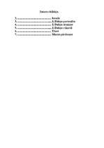 Konspekts 'Jānis Daliņš', 2.