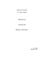 Referāts 'Biezeņa zupas un krēmzupas', 1.