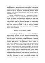 Referāts 'Biezeņa zupas un krēmzupas', 3.