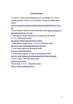 Referāts '96.nodaļa - dažādi izstrādājumi', 9.