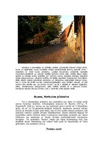 Referāts 'Divu dienu velo - kājnieku pārgājiens', 8.
