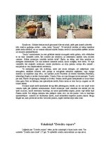 Referāts 'Divu dienu velo - kājnieku pārgājiens', 9.