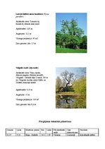 Referāts 'Divu dienu velo - kājnieku pārgājiens', 11.