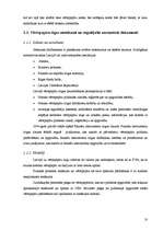 Referāts 'Investīciju iespējas Latvijas vērtspapīros', 10.