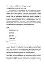 Referāts 'Investīciju iespējas Latvijas vērtspapīros', 16.