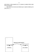 Diplomdarbs 'Personālvadība pašvaldībā', 19.