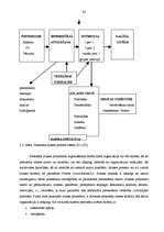 Diplomdarbs 'Personālvadība pašvaldībā', 24.