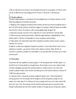 Biznesa plāns 'Vending Machines', 29.