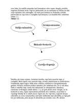 Referāts 'Vērtspapīri', 5.