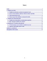 Referāts 'Transferta cenu politikas problēmas Latvijā', 2.