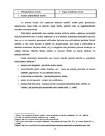 Referāts 'Transferta cenu politikas problēmas Latvijā', 12.