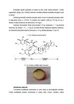 Referāts 'Dabiskie kaitīgie savienojumi pārtikā', 5.