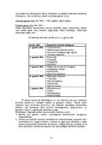 Referāts 'Biznesa cikli', 18.