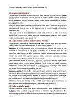 Referāts 'Mazās grupas, to attīstība un sociālpsiholoģiskā klimata veidošanās', 7.