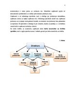 Prakses atskaite 'Grāmatvedības prakses atskaite', 6.