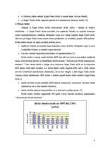 Referāts 'Rīgas Fondu birža', 9.