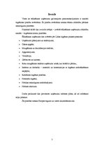 Prakses atskaite 'Viesu nama "X" sanitāri – higiēniskais novērtējums', 3.