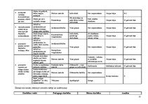 Prakses atskaite 'Integrētā mācību prakse pirmsskolā', 10.