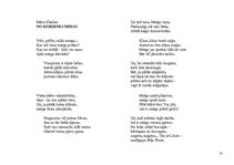 Prakses atskaite 'Integrētā mācību prakse pirmsskolā', 13.