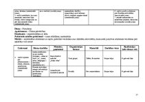 Prakses atskaite 'Integrētā mācību prakse pirmsskolā', 17.