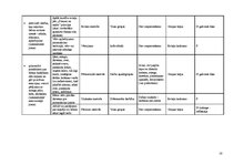Prakses atskaite 'Integrētā mācību prakse pirmsskolā', 18.