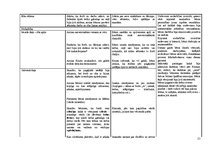Prakses atskaite 'Integrētā mācību prakse pirmsskolā', 21.