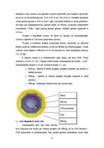 Referāts 'Jauniešu attieksme pret vīrusa hepatīta B riska faktoriem un to novēršanu', 12.