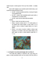 Referāts 'Jauniešu attieksme pret vīrusa hepatīta B riska faktoriem un to novēršanu', 13.