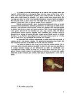 Referāts 'Karote cauri gadsimtiem', 4.