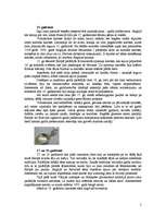 Referāts 'Karote cauri gadsimtiem', 5.