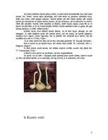 Referāts 'Karote cauri gadsimtiem', 8.