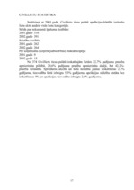 Referāts 'Tiesu varas institūcijas un to amatpersonu statuss valsts tiesiskajā mehānismā', 17.