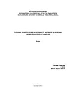 Eseja 'Laikmeta aktuālās ētiskās problēmas 19.gadsimtā, to vērtējums sabiedrības attīst', 1.