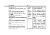 Konspekts 'Alālijas un afāzijas salīdzināšana', 12.