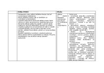 Konspekts 'Alālijas un afāzijas salīdzināšana', 13.