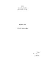 Paraugs 'Būvmehānika, trīslocīklu rāmja aprēķins', 1.