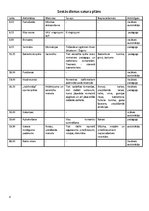 Paraugs 'Piedzīvojumu nometne "Izdzīvotājs"', 4.