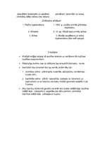 Konspekts 'Renesanses un viduslaiku salīdzinājums', 2.