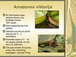 Prezentācija 'Dienvidamerika', 11.