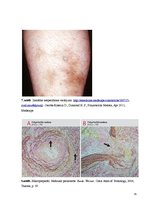 Konspekts 'Kolokvija kļūdu labojums', 35.