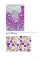 Konspekts 'Kolokvija kļūdu labojums', 36.