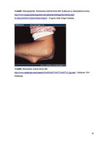 Konspekts 'Kolokvija kļūdu labojums', 39.