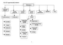 Referāts 'Komunikācijas sistēmas analīze uzņēmumā', 5.