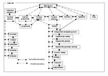 Referāts 'Komunikācijas sistēmas analīze uzņēmumā', 7.