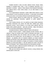 Referāts 'Komunikācijas sistēmas analīze uzņēmumā', 13.