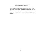 Referāts 'Komunikācijas sistēmas analīze uzņēmumā', 21.