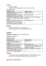 Konspekts 'Ideju portfolio kustību mākslā', 5.