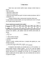 Referāts 'Autotransporta skaita statisitika Latvijā', 13.