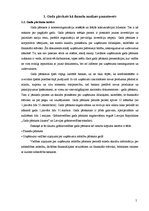 Referāts 'IA "X" uzņēmuma finansiālā stāvokļa izvērtēšana un attīstības programmas', 5.