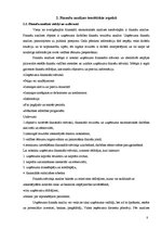 Referāts 'IA "X" uzņēmuma finansiālā stāvokļa izvērtēšana un attīstības programmas', 8.